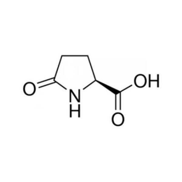  L-Pyroglutamatic Acid